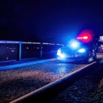 Plzeň – Kriminalisté rozbili varnu pervitinu a zajistili 200 g 8