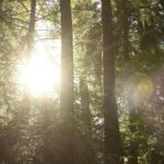 Česko čeká víkend s teplotami přes 25 °C: slunečno potrvá do neděle 4