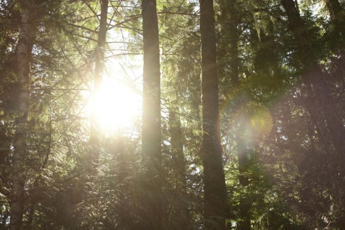 Česko čeká víkend s teplotami přes 25 °C: slunečno potrvá do neděle 8