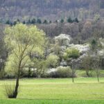 Studená fronta přinese ochlazení na 11 °C a sníh nad 700 m 8