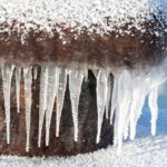 Česko – Mrazy až -4 °C spálí květy ovocných stromů 8