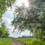 Česko – Nadprůměrné teplo a slunečno ovládne pátek 4