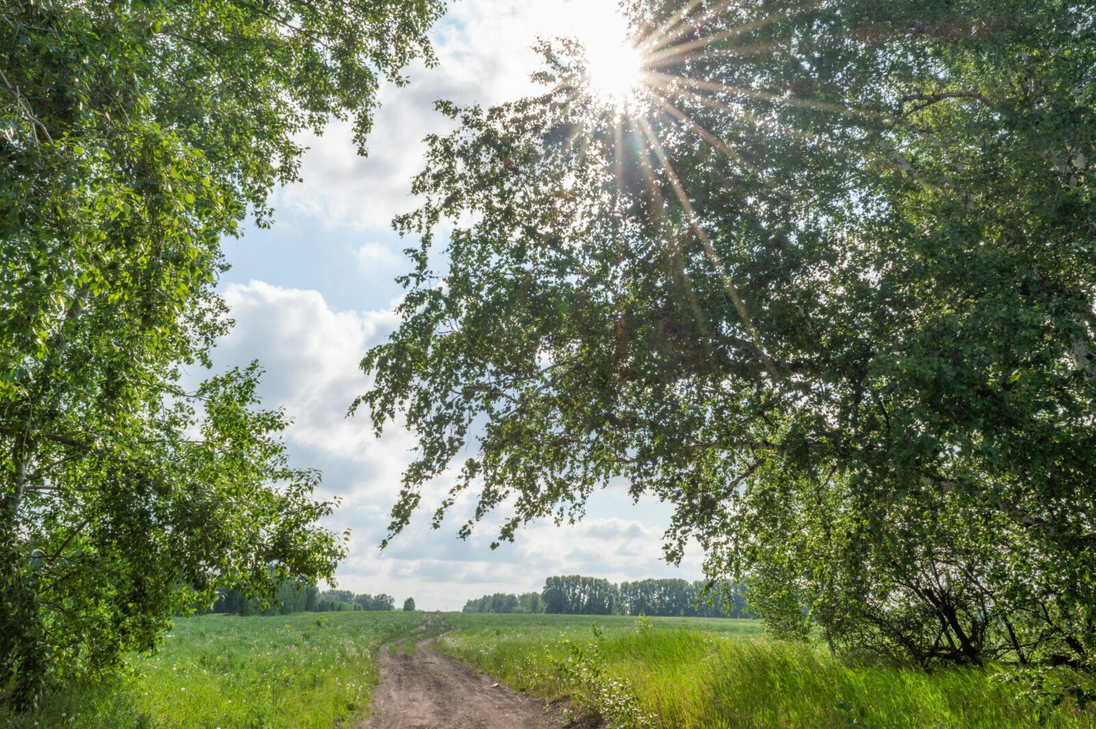 Česko – Nadprůměrné teplo a slunečno ovládne pátek