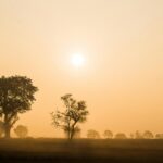 Česko – Saharský prach zakalí nebe a teploty se vyšplhají na 20 °C 8