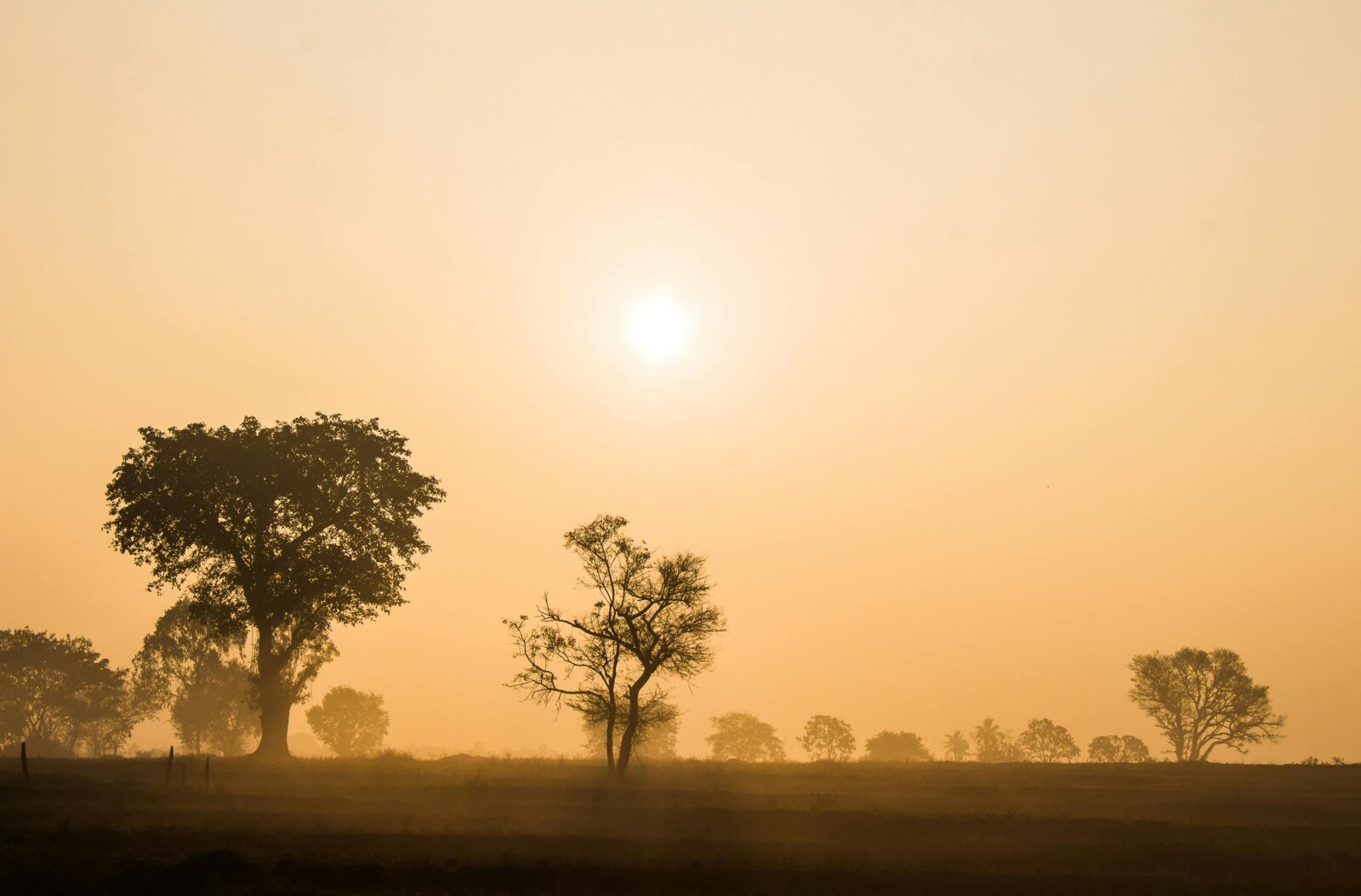 Česko – Saharský prach zakalí nebe a teploty se vyšplhají na 20 °C