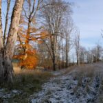 Česko – V týdnu padnou teploty pod deset °C a na horách nasněží 8