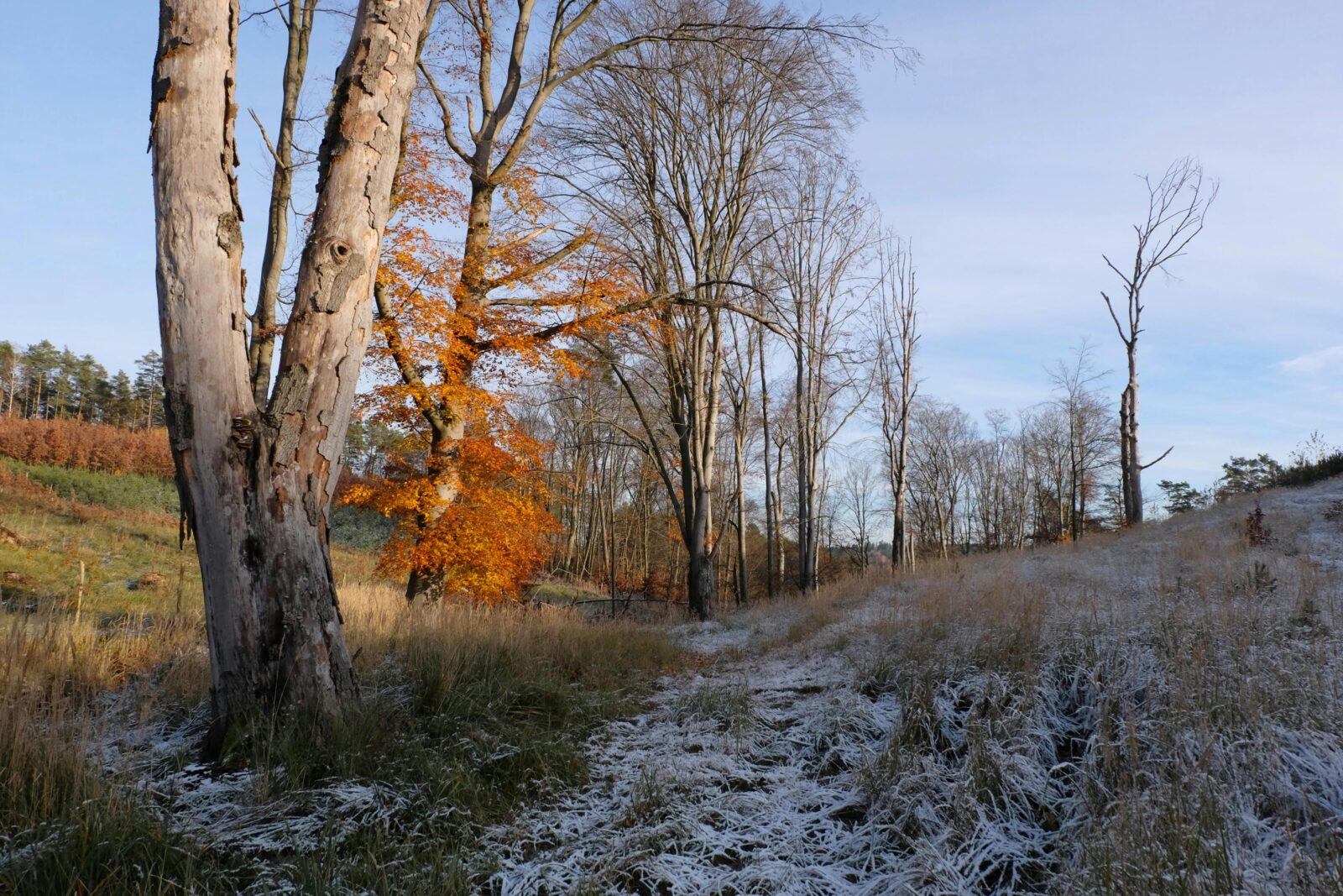 Česko – V týdnu padnou teploty pod deset °C a na horách nasněží