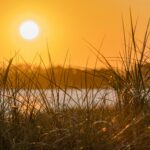Japonsko zavádí čtvrtý stupeň varování před vedry nad 40 °C 8