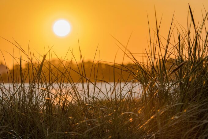Japonsko zavádí čtvrtý stupeň varování před vedry nad 40 °C 10