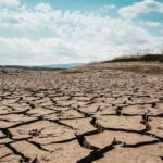 Silné El Niño může do roku 2028 zvýšit ceny potravin o 15,8 procenta 8