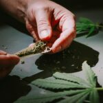 Marihuana u dospívajících i jednou měsíčně zvyšuje riziko psychózy a deprese 4