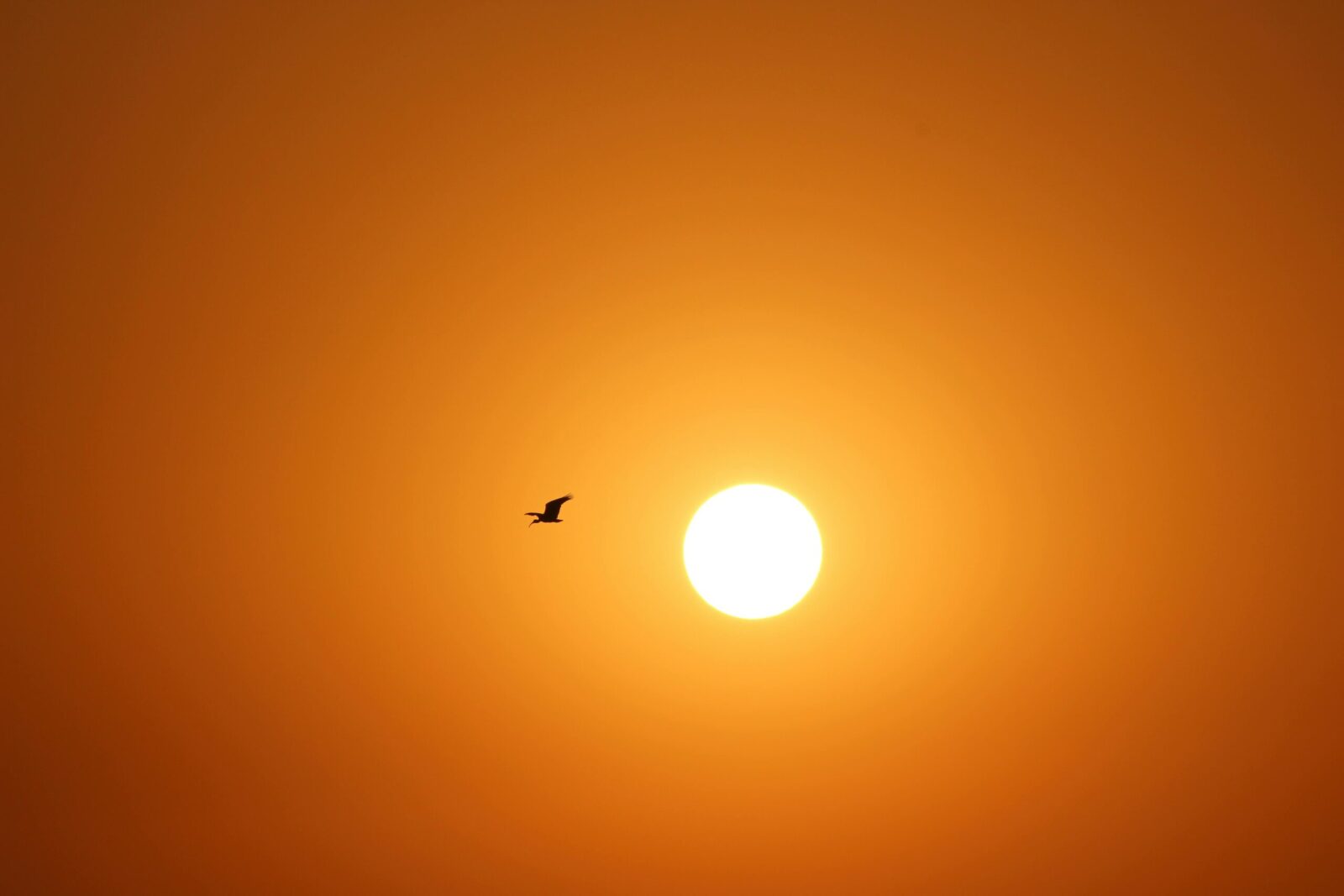 Francie čeká 35 °C a teploty můžou začátkem týdne překonat květnový rekord o 3 stupně