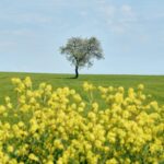 Česko poprvé letos překoná 25 °C: v úterý přijde studená fronta 8