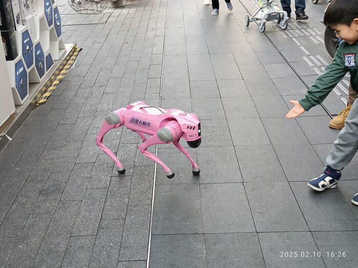 čínský robotický pes