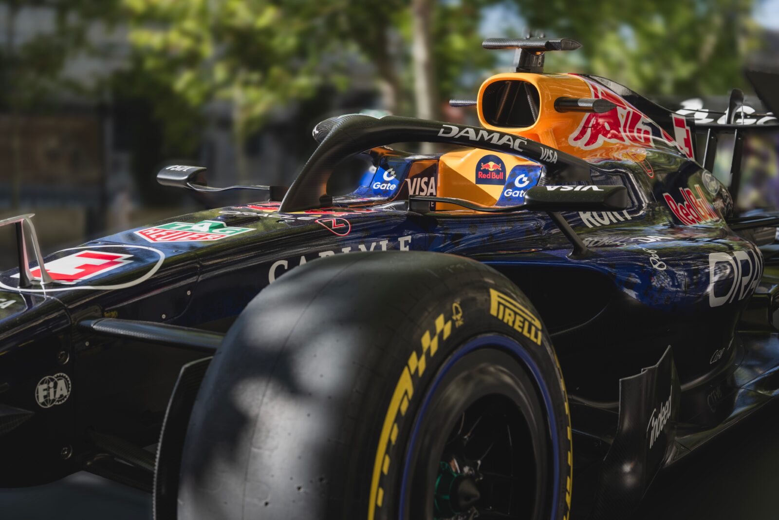 f1 red bull